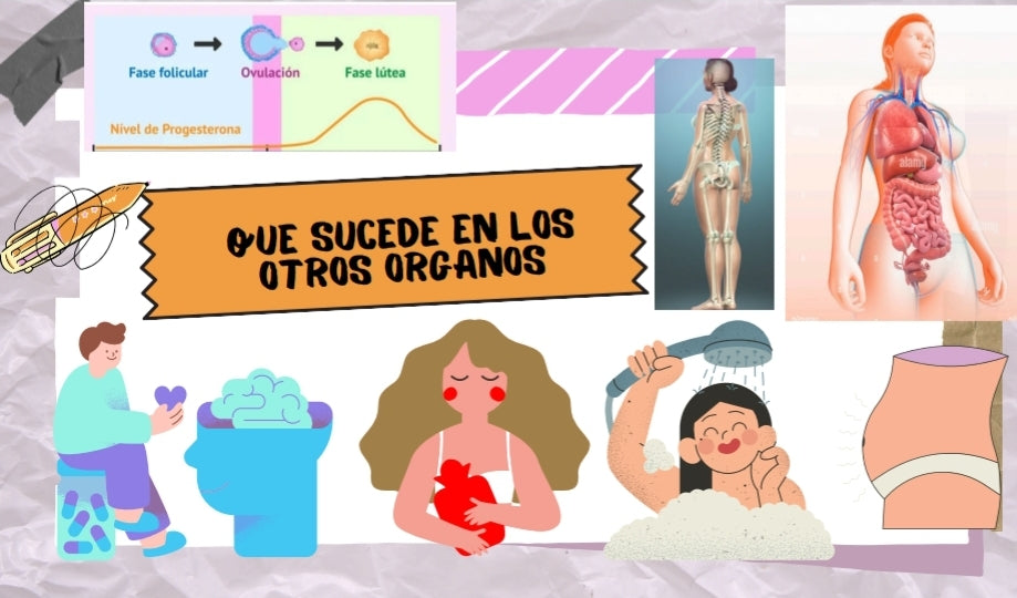 Menarquia el inicio de los ciclos