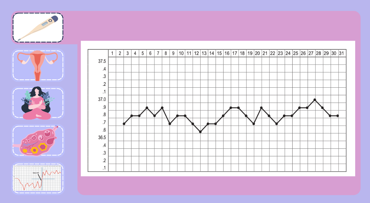 Observa y registra correctamente tu ciclo menstrual