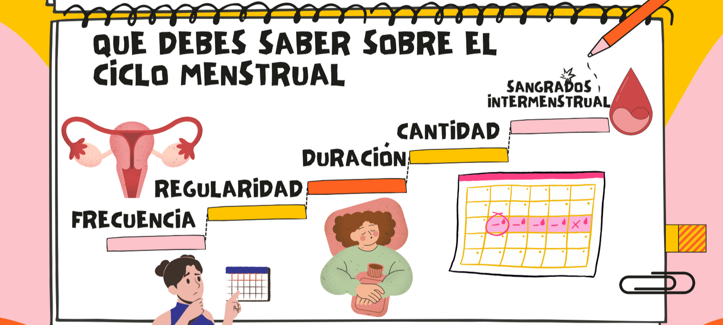 Menarquia el inicio de los ciclos