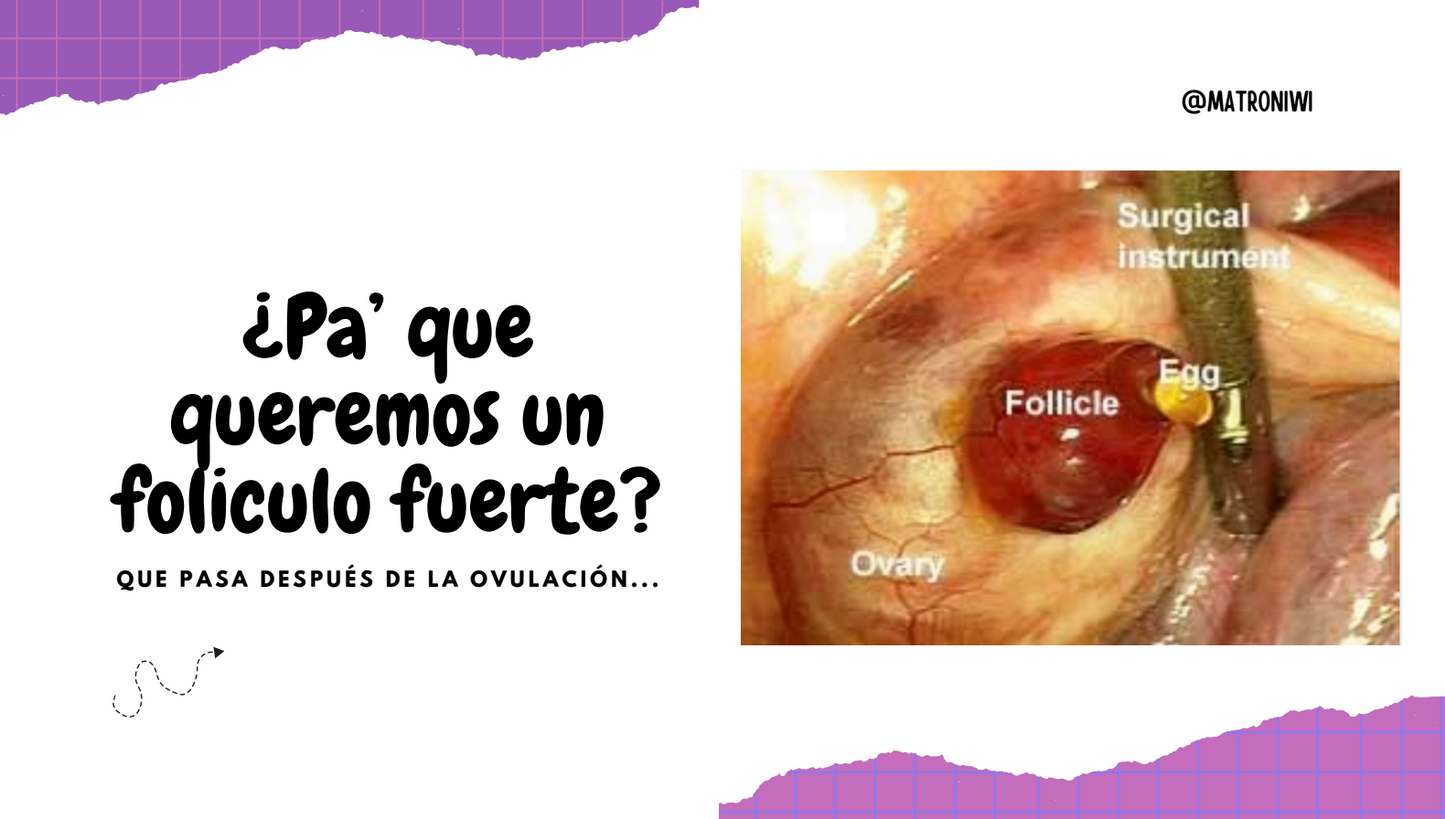 Taller: Salud hormonal pa las felinas